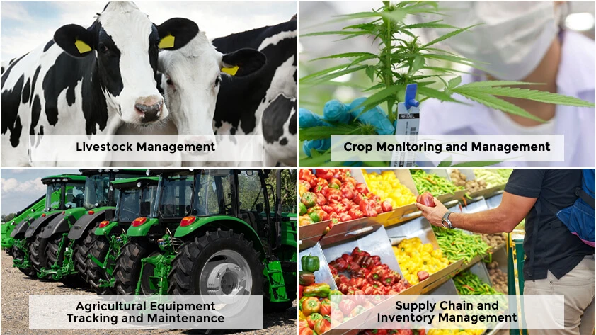Key Applications of RFID in Agriculture
