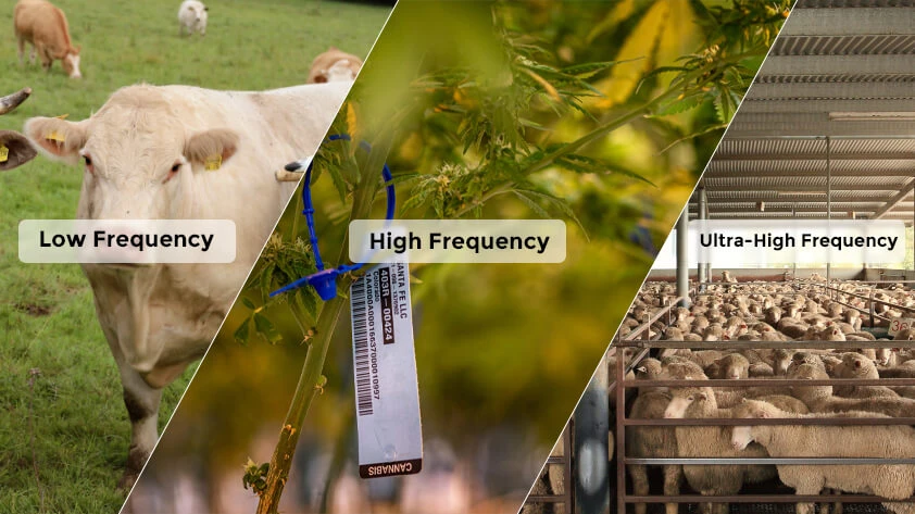 Passive RFID Tags of Different Frequencies
