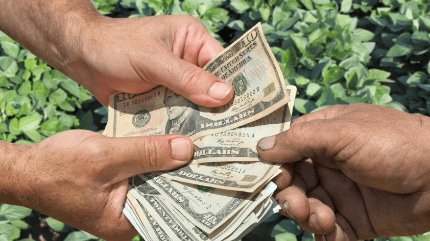 Challenges and Limitations of RFID in Agriculture