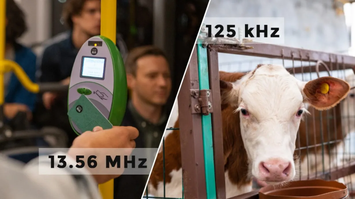13.56 MHz vs 125 kHz RFID Tags: Key Differences & Which One to Choose