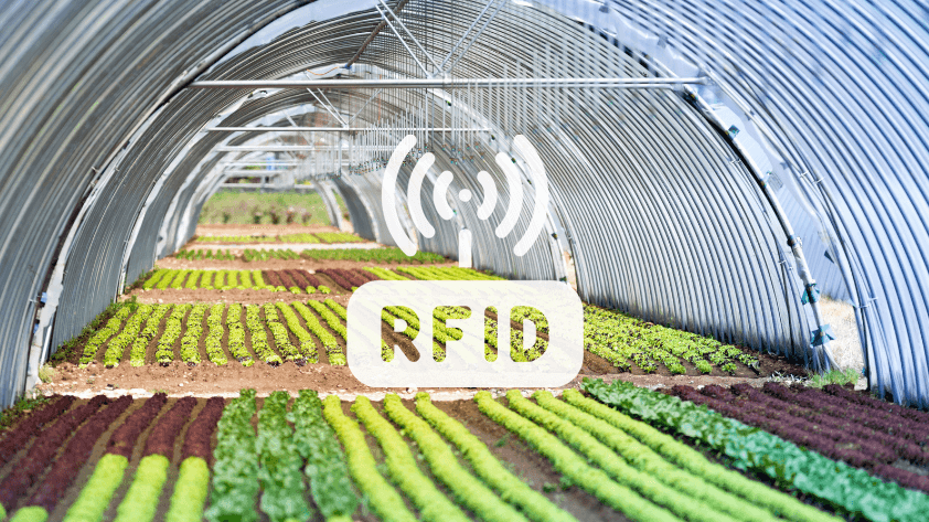 RFID in Agriculture RFID in Agriculture