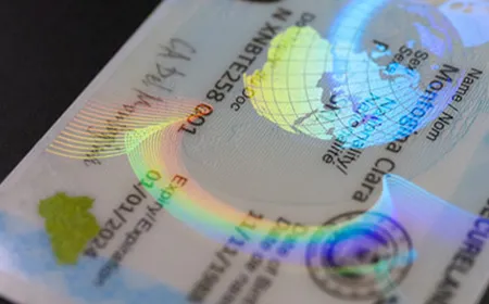 2-2-Holographic Overlay
