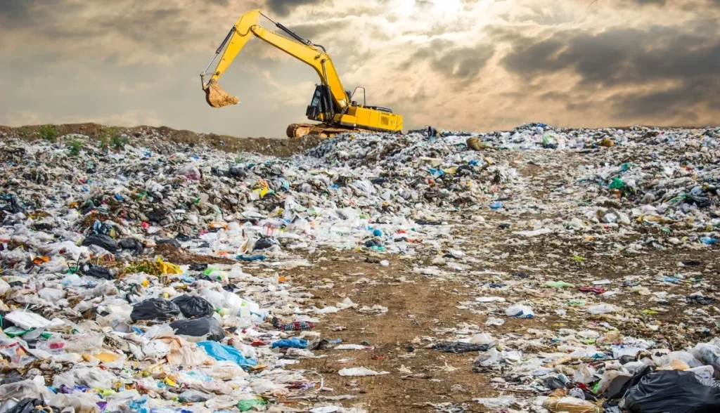 Comparison of the environmental impact of plastic cards versus wooden cards.
