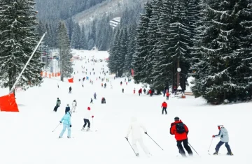 Behind the Slopes How RFID Smart Cards Simplify Ski Resort Operations Crowded ski slope with skiers using RFID access passes for seamless resort management.